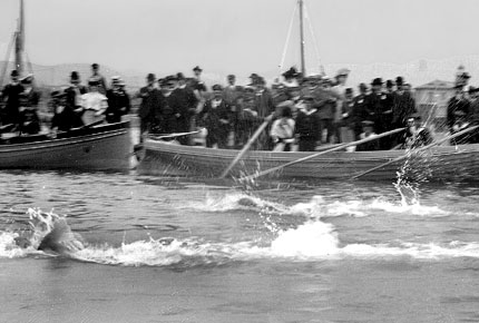 Insolite Histoire De La Natation Aux Jeux Olympiques